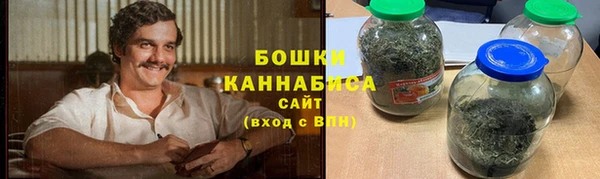 дмт Вяземский