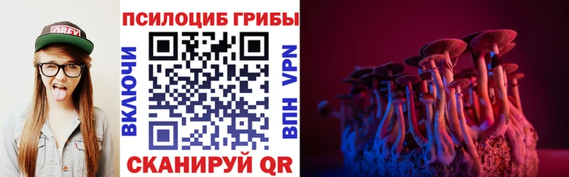 дарнет шоп  Камызяк  Галлюциногенные грибы прущие грибы 